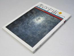 書の宇宙 2　人界へ降りた文字 : 石刻文