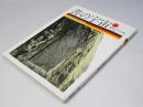 書の宇宙　7　石に刻された文字 : 北朝石刻