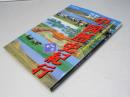 中国歴史紀行 : 遥かなる歴史、勇躍する英傑、広大な風土をたどる 第4巻　宋・元