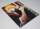 BLEACH ブリーチ もう一つの氷輪丸　日本アニメ映画パンフレット