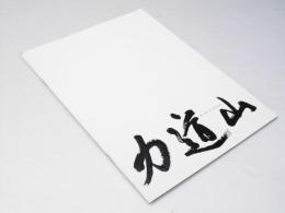 力道山 洋韓国映画パンフレット