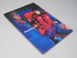 ヴァイブレータ  日本映画パンフレット