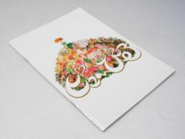 ピューぴる  日本映画パンフレット