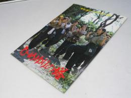 ひめゆりの塔　日本映画パンフレット