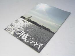 平成ジレンマ ドキュメンタリー 日本映画パンフレット