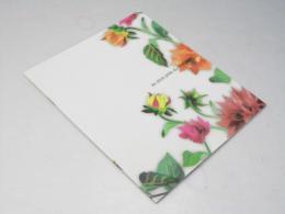 逢いたくて　洋仏映画パンフレット