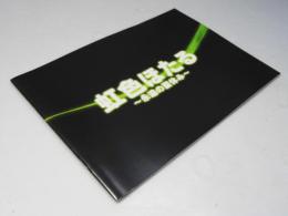 虹色ほたる 永遠の夏休み　日本アニメ映画パンフレット