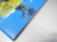 ハウルの動く城 日本アニメ映画パンフレット