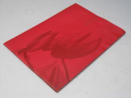 ジャンダラ　洋タイ映画パンフレット