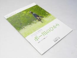 ポー川のひかり 洋伊映画パンフレット