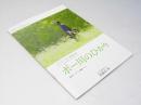 ポー川のひかり 洋伊映画パンフレット