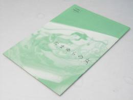 たまゆらの女　洋中国映画パンフレット