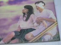月光の囁き 日本映画パンフレット