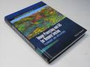 Image Processing and GIS for Remote Sensing: Techniques and Applications　Second Edition