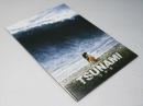 ツナミ TSUNAMI　洋韓国映画パンフレット