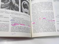 Diesel Mechanics  Third Edition