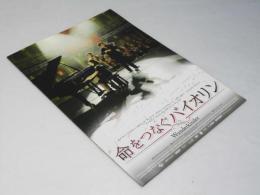 命をつなぐバイオリン 洋独映画パンフレット