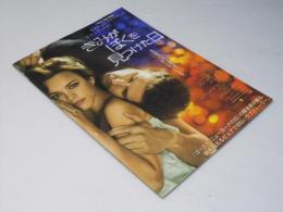 きみがぼくを見つけた日 洋米映画プレスシート