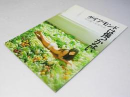 ダイアモンドは傷つかない 日本映画パンフレット
