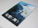 北壁に舞う 日本映画パンフレット.