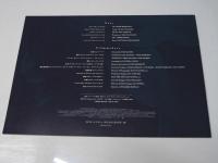 リリーのすべて 洋英映画プレスシート