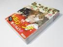 ねこのきもち　2016年1月～7月揃