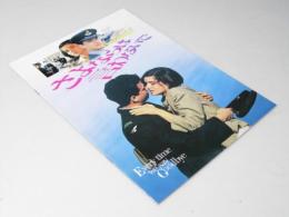さよならは言わないで 洋映画パンフレット
