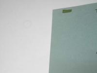 シベリアのくろかんば