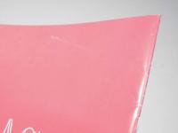 ラスト5イヤーズ THE LAST 5　Years　洋映画パンフレット