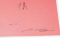 ヨーロッパの光の中で　中井孝光スケッチ集