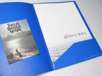 ディス・イズ・ボサノヴァ 　洋映画パンフレット