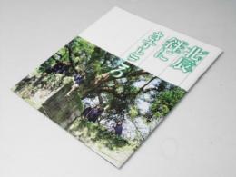 北辰斜にさすところ   映画パンフレット　