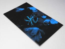 光　映画パンフレット