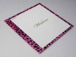 ウォーターズ　映画パンフレット