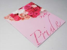 プライド　日本映画パンフレット