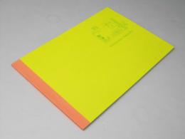 恋するマドリ　日本映画パンフレット