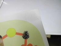 同窓会　日本映画パンフレット