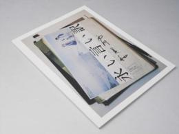 永い言い訳 日本映画パンフレット