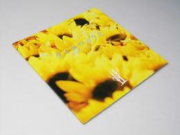 タイヨウのうた　　日本映画パンフレット