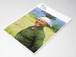 恋するトマト　　日本映画パンフレット