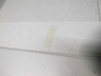 劇場版 遥かなる時空の中で 舞一夜　　日本映画パンフレット