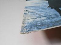 ALMOST FAMOUS　洋映画パンフレット