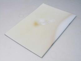 空気人形　日本映画パンフレット