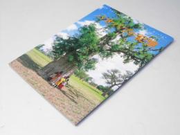 バオバブの記憶　日本映画パンフレット