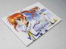 NANOHA The MOVIE 1st 魔法少女リリカル　日本アニメ映画パンフレット