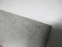 BORN YESTERDAY 　洋映画パンフレット