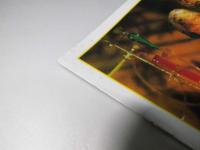 Creator クリエイター　洋映画パンフレット