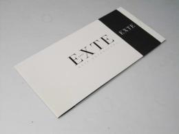 Exte エクステ  hair extensions  日本映画パンフレット