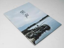 哭声  コクソン　洋韓国映画パンフレット 