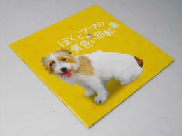 ぼくとママの黄色い自転車　日本映画パンフレット